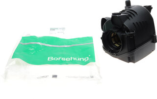 Borsehung B12845