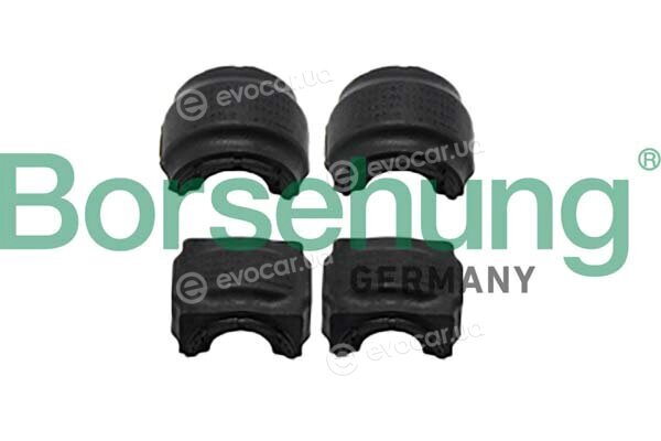 Borsehung B10045