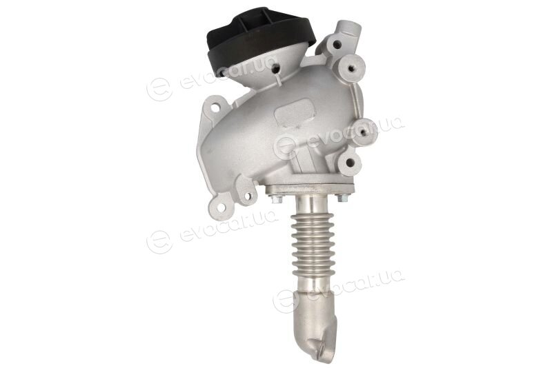 Delphi EG10554