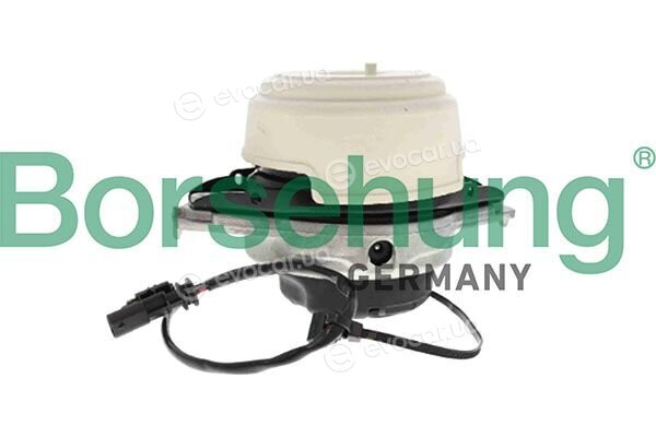 Borsehung B13037