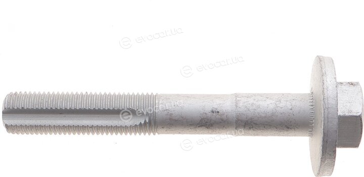 Solgy 204254