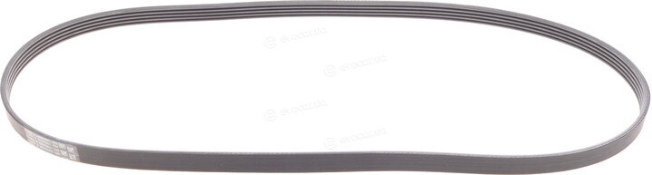 Continental 5PK1255