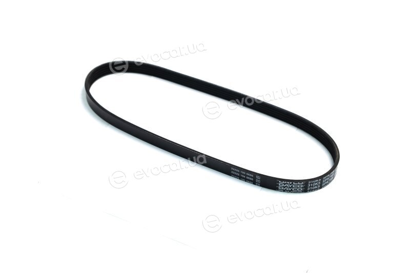 Dayco 5PK788