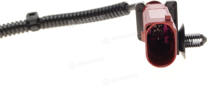 Solgy 115065