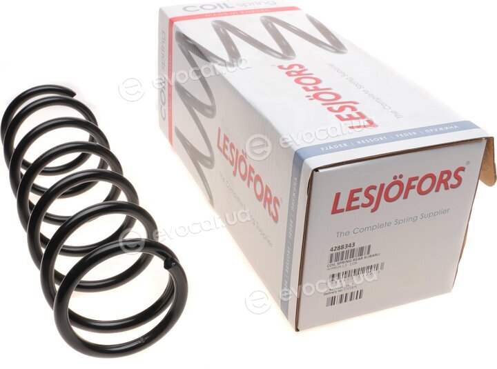 Lesjofors 4288343