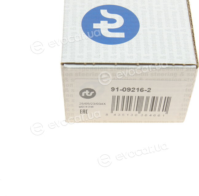 RTS 91-09216-2
