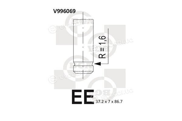 BGA V996069