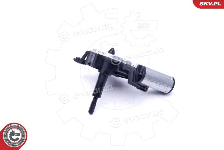 SKV 19SKV049