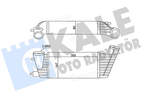 Kale 350820