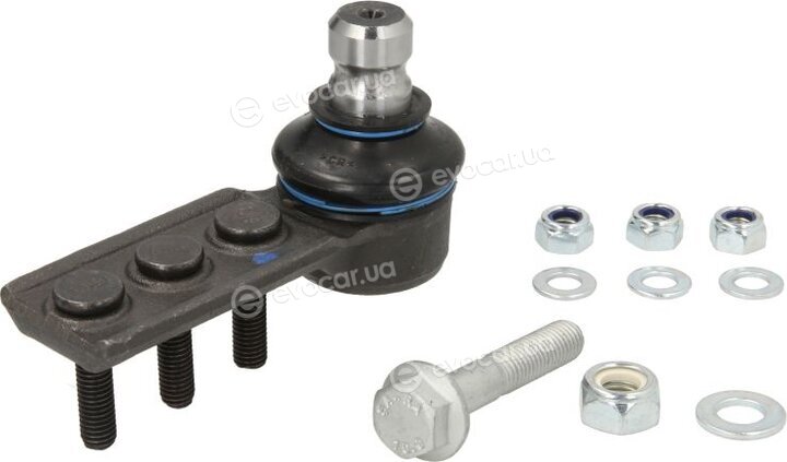 Reinhoch RH03-4019