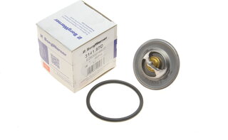 Wahler / BorgWarner 3141.87D