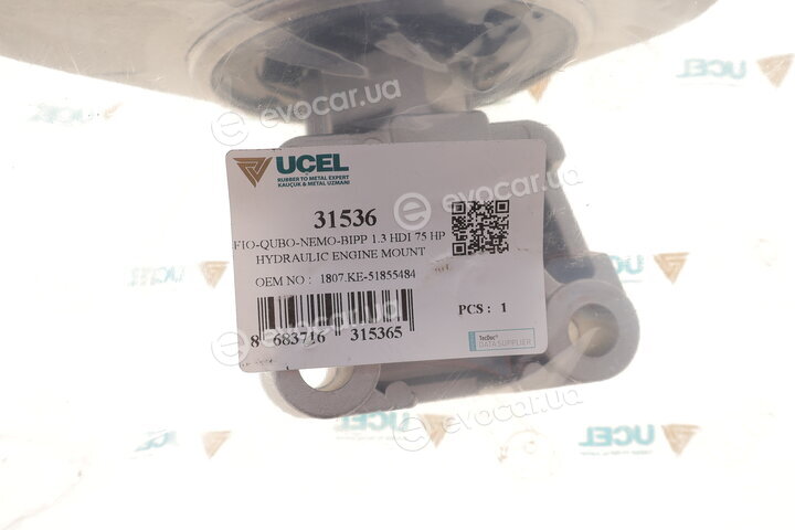 Ucel 31536