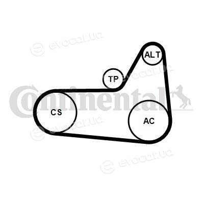 Continental 6PK1180K4