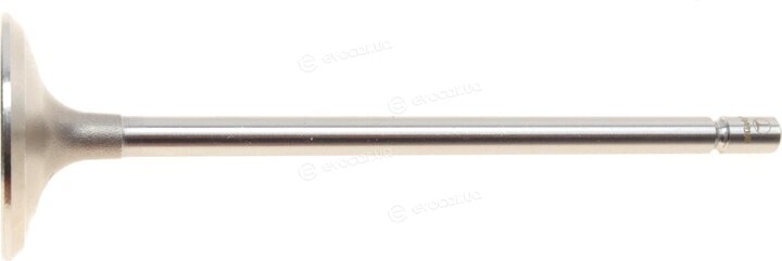 AMP PREN018-S-0-0