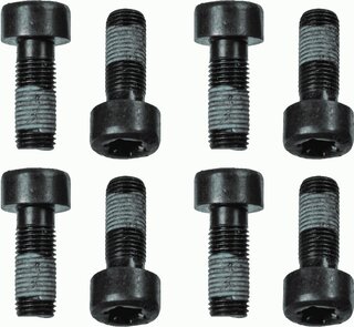 Sachs 1874 000 060