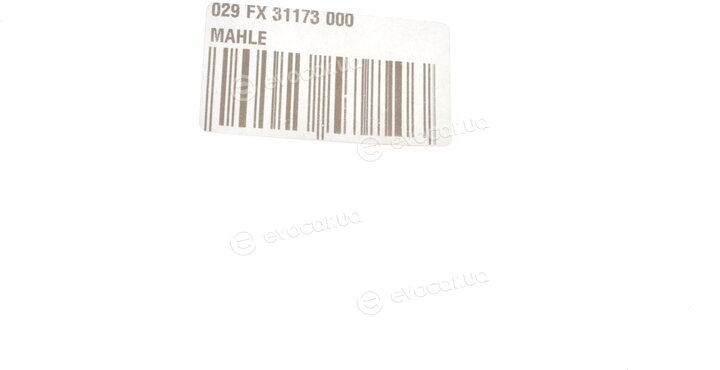 Mahle 029 FX 31173 000