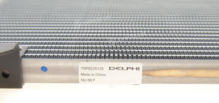 Delphi TSP0225125