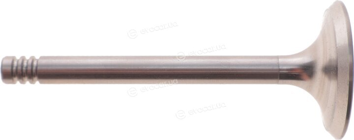 AMP PAUD033-S-0-N