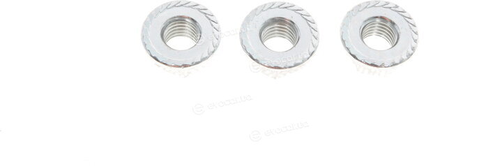 Solgy 203136