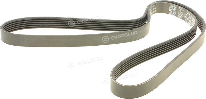 Dayco 6PK1381
