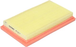 Filtron AP 124/1