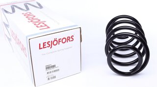 Lesjofors 4062071