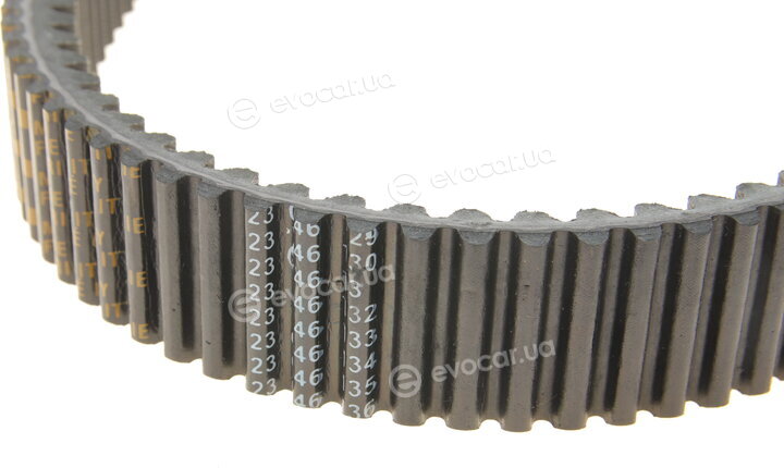 Dayco XTX2288
