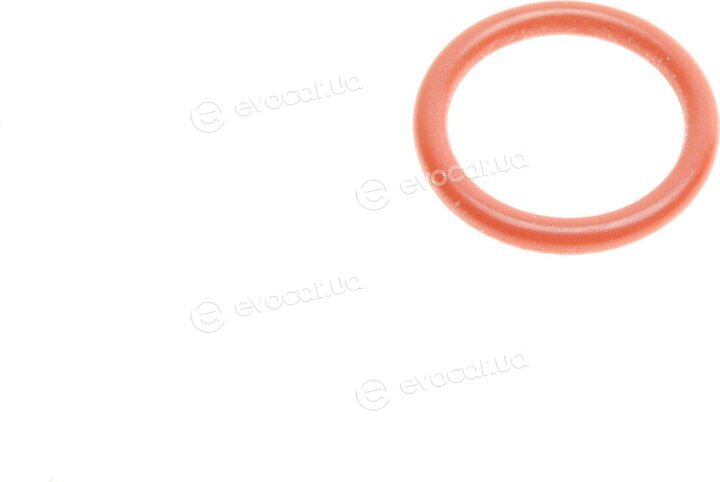 Elring 036.980