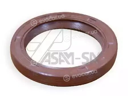 Asam 01337