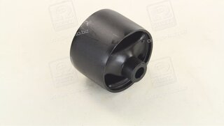 RBI T0928R