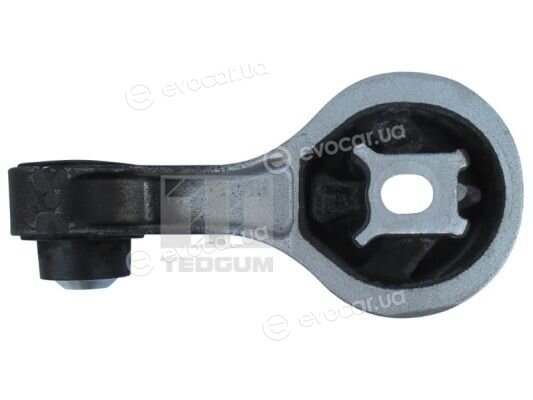 Tedgum 00507121