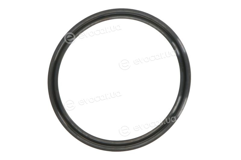 Elring 703.570