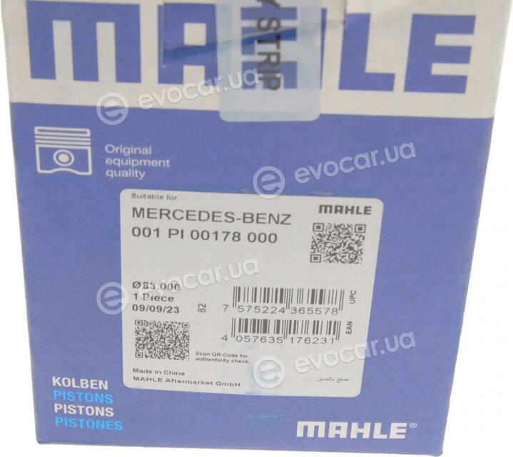 Mahle 001 PI 00178 000