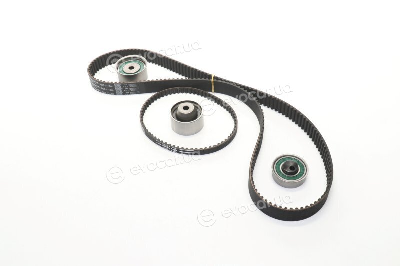 Gates K015556XS
