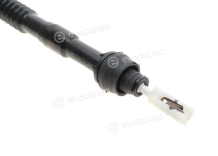 Solgy 118002