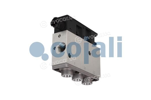 Cojali 2309107