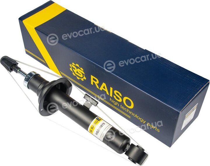 Raiso RS280879
