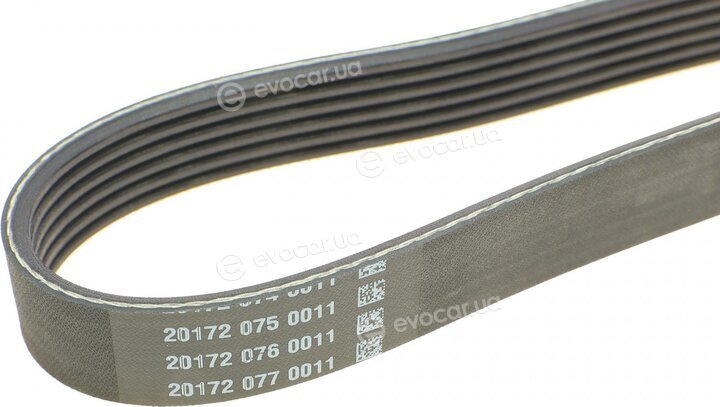 Dayco 6PK1755