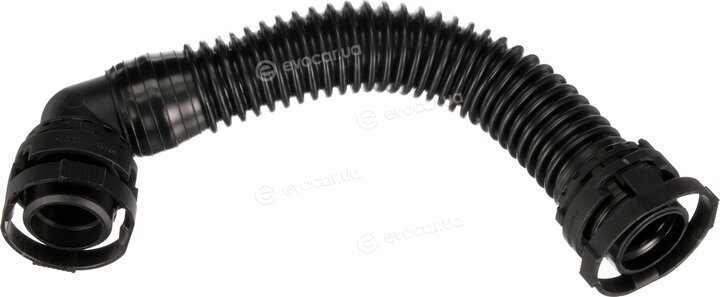 Rapro R25955