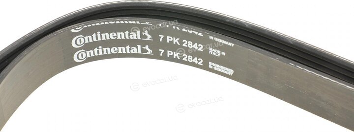 Continental 7PK2842