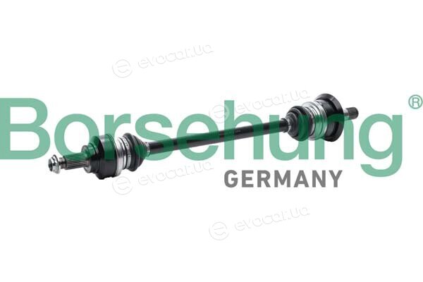 Borsehung B12486