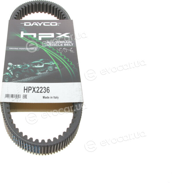 Dayco HPX2236