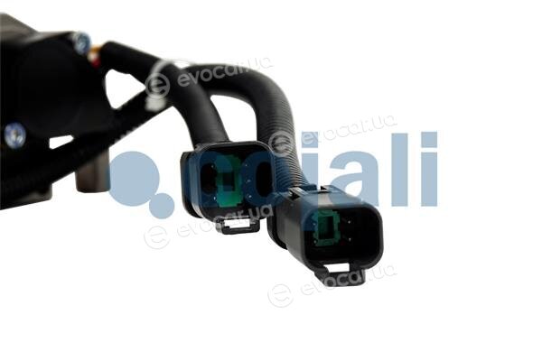Cojali 2260506