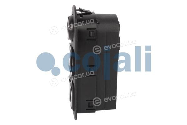 Cojali 2260554