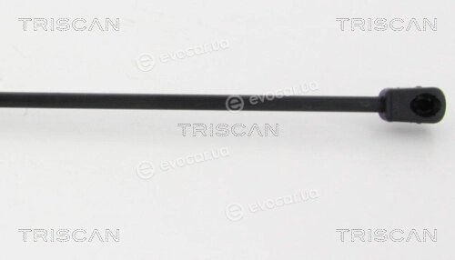 Triscan 8710 38234