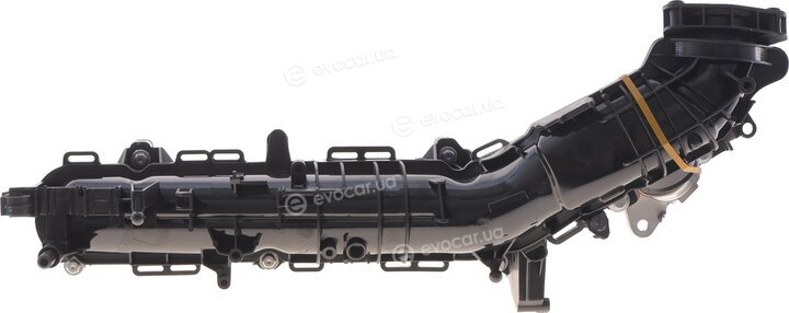 Solgy 114266
