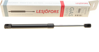 Lesjofors 8004228