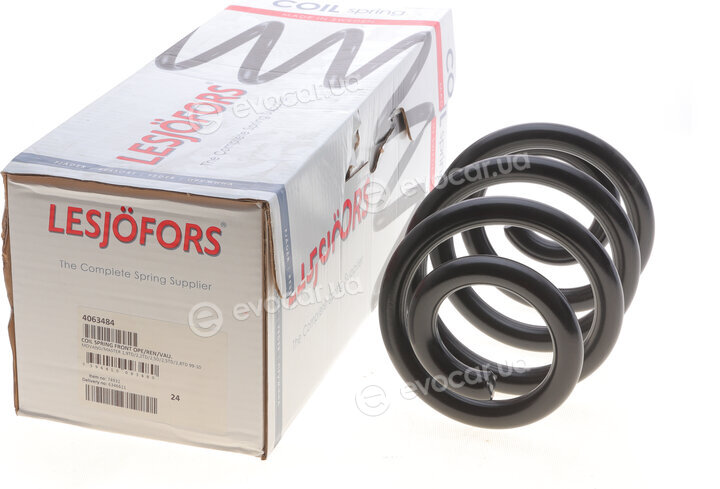 Lesjofors 4063484