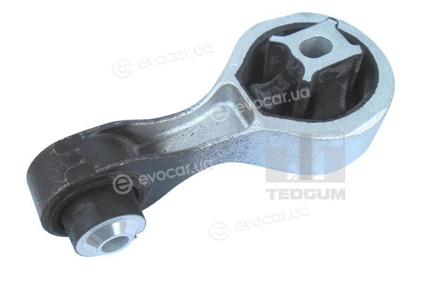 Tedgum 00507121