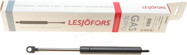 Lesjofors 8008405